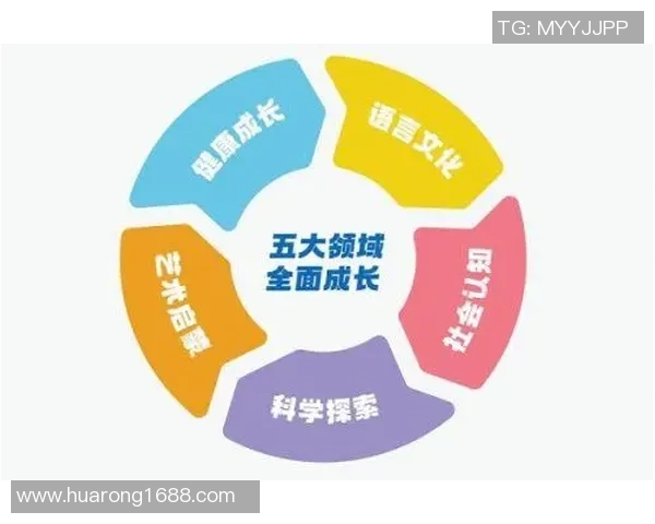 杭州排球队战术解析：从技术细节到团队协作的全面探讨