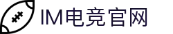 IM(股份有限公司)电竞-电子竞技平台